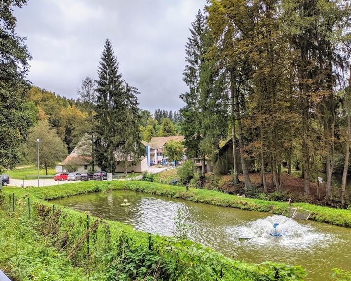 Landgasthof Friesenmuhle